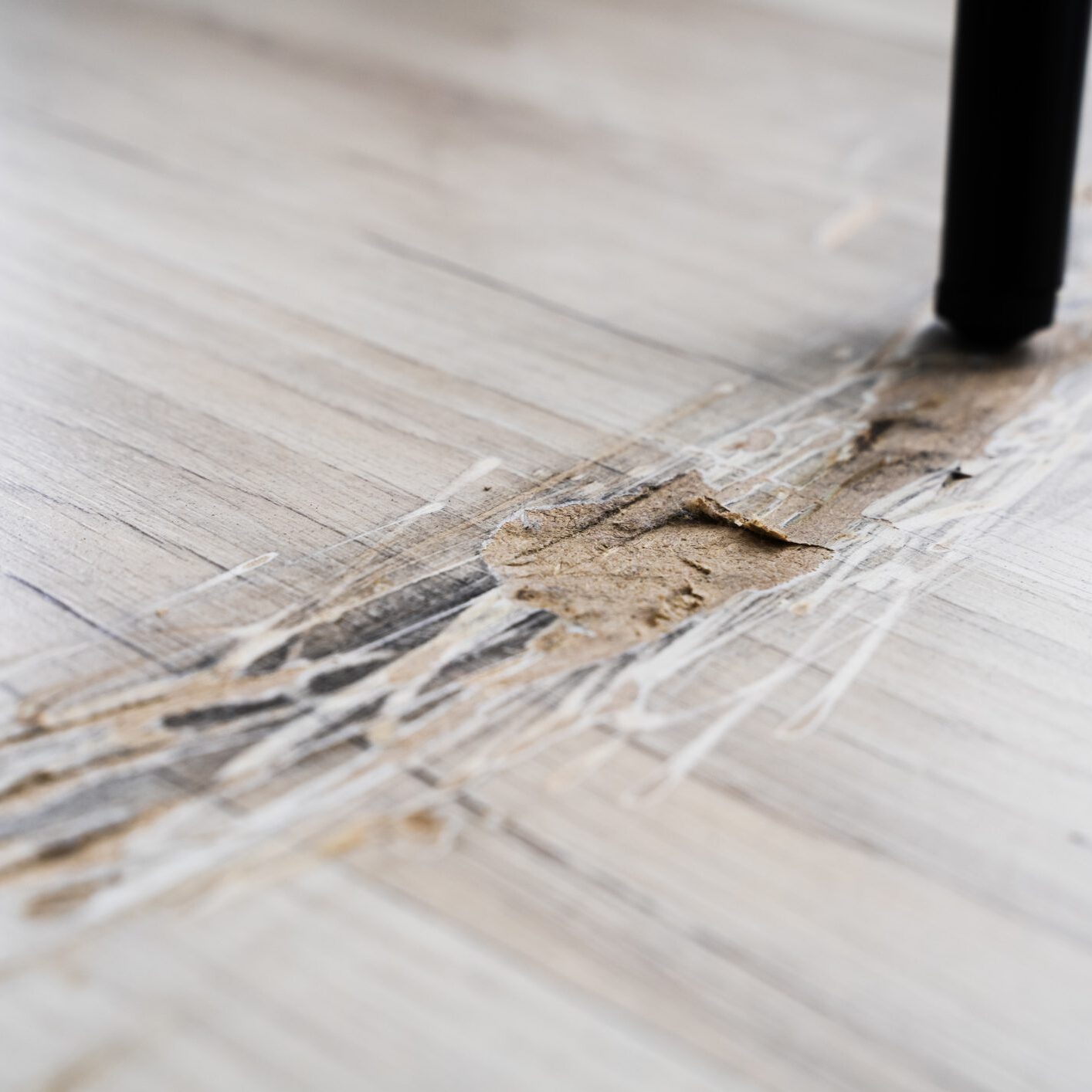 Broken Laminate Floor Damage. Destroyed House Flooring